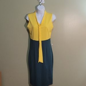 NWT Oxiuli Bi Color Sleeveless Dress